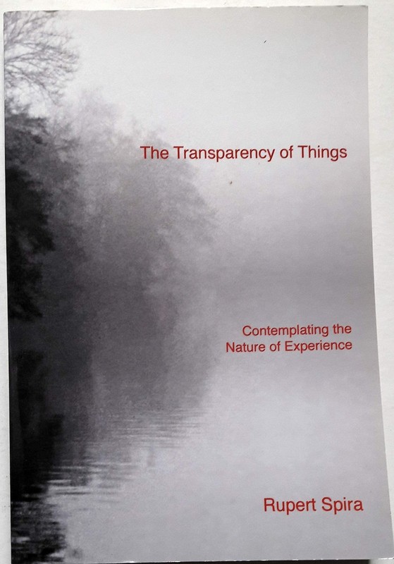 The Transparency of Things: Contemplating the Nature of Experience by Spira