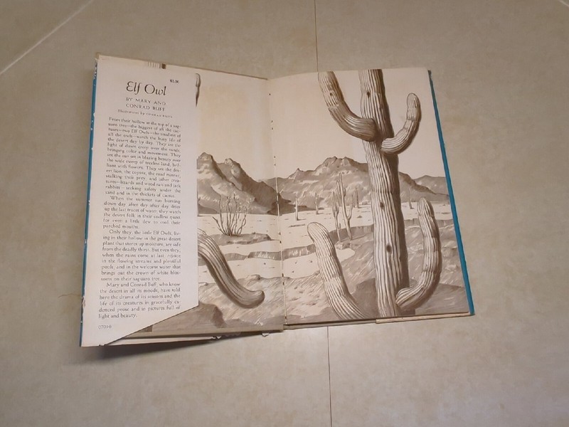 Elf Owl, Mary & Conrad Buff, Hardcover VG in Poor Dust Jacket 1958, 1966... gallery