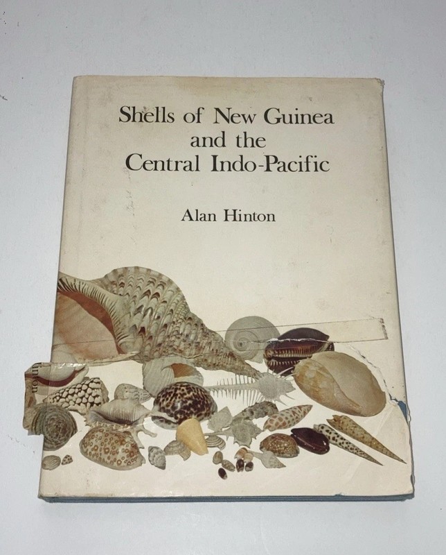 Shells Of New Guinea & The Central Indo -Pacific By Alan Hinton