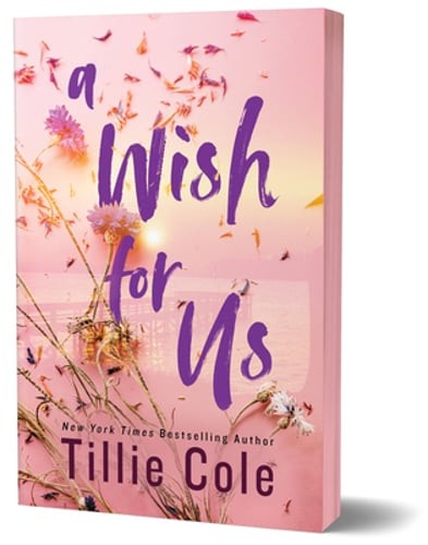 A Wish for Us (Deluxe Edition) by Tillie Cole: Used