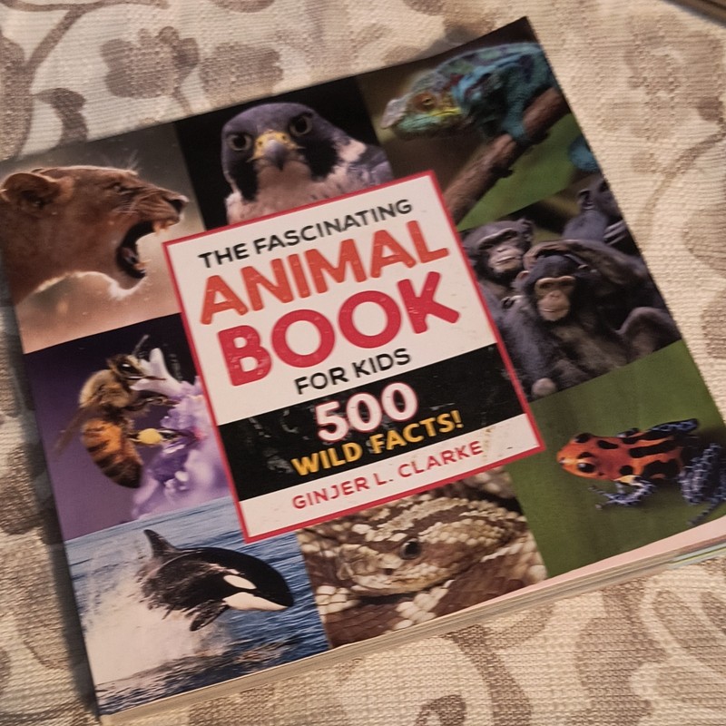 The Fascinating Animal Book for Kids Ginjer L. Clarke Hardcover Ages 4-8