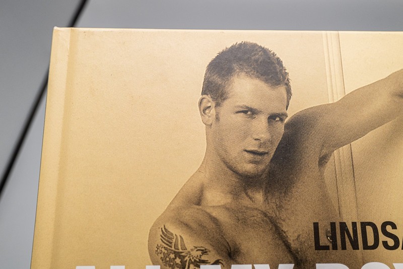 All My Boys by Lindsay Lozon (2007, Hardcover) Gay Male Interest gallery