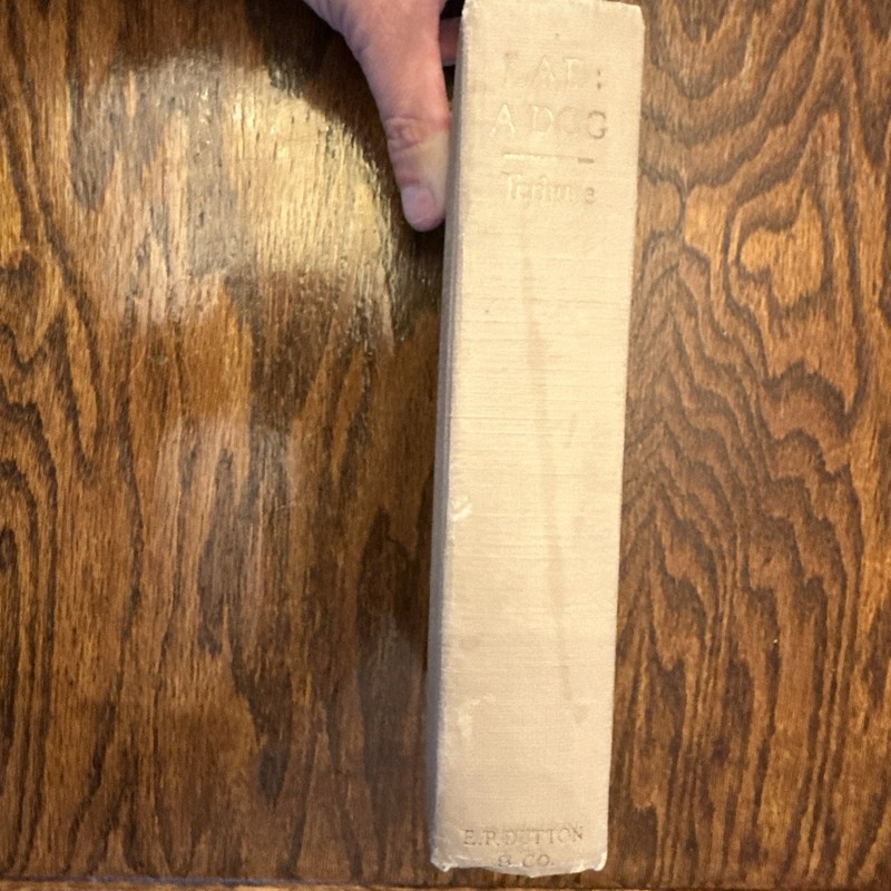 1919 Lad: A Dog by Albert Payson Terhune E P Dutton New York 1st / 5th Printing gallery