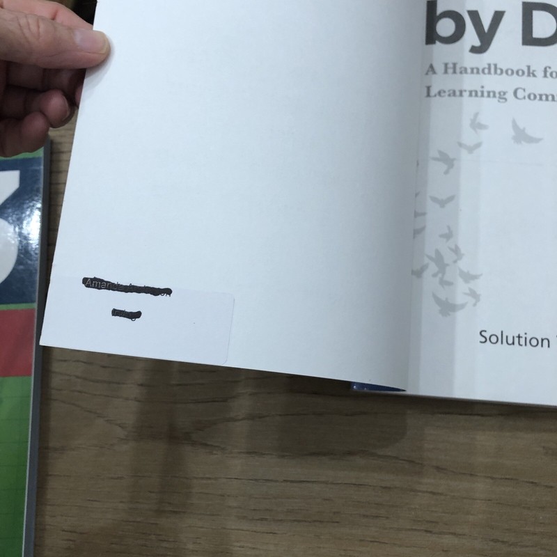 Learning by Doing: A Handbook for Professional Learning Communities at Work 3rd gallery