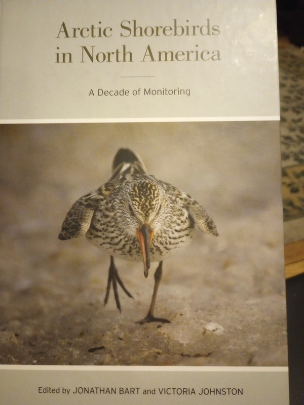 Studies in Avian Biology Ser.: Arctic Shorebirds in North America : A Decade of