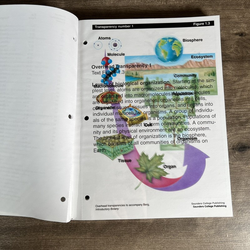 Overhead Transparencies To Accompany Introductory Botany TextBook By Berg gallery