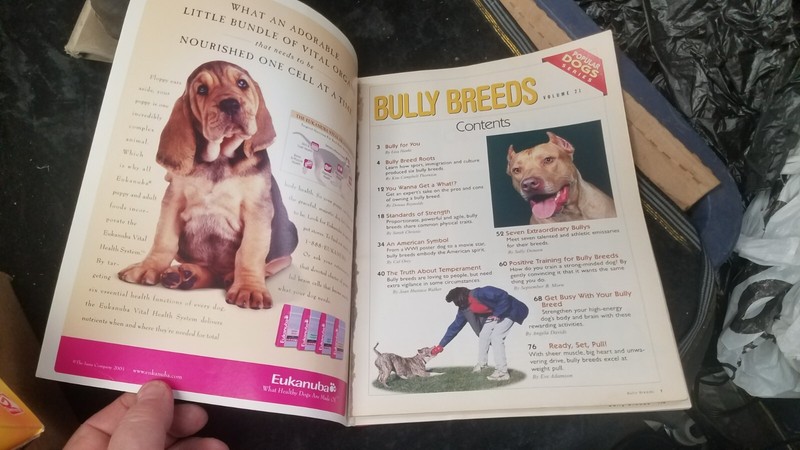 2002 Volume 21 BULLY BREEDS Terrier Issue Magazine Pit Bull Staffordshire gallery