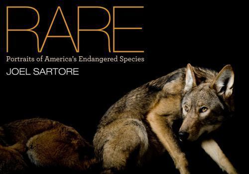 Rare: Portraits of America’s Endangered Species by
