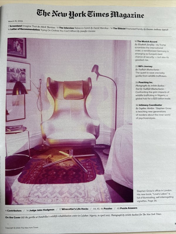 The New York Times Magazine, Mar. 15, 2026 BILLI`S JOURNEY gallery