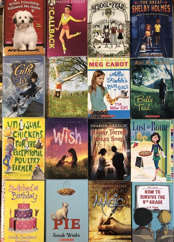Lot of 16 Chapter Books for 5th Grade Girls Classroom RL5