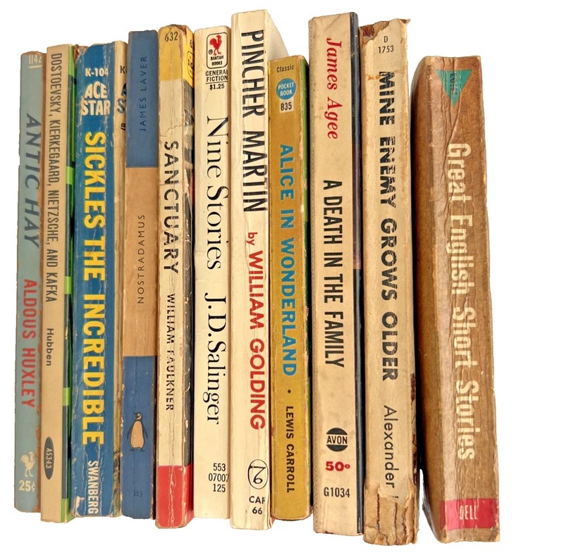 Vintage Lot of 11 Notable Author Paper Backs-Golding-Salinger-Carroll-Others