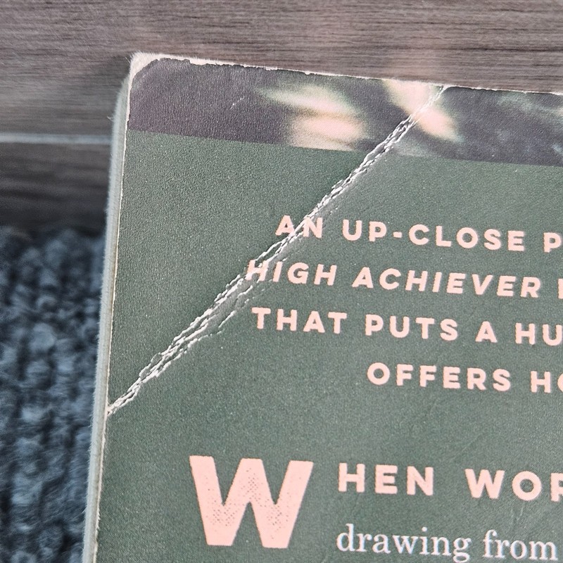 High Achiever Tiffany Jenkins PB Memoir Addiction Recovery Story Book gallery