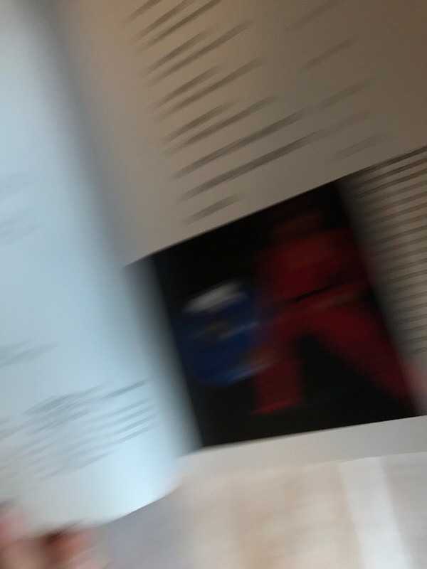 Firebrands By Ron Miller Softcover gallery