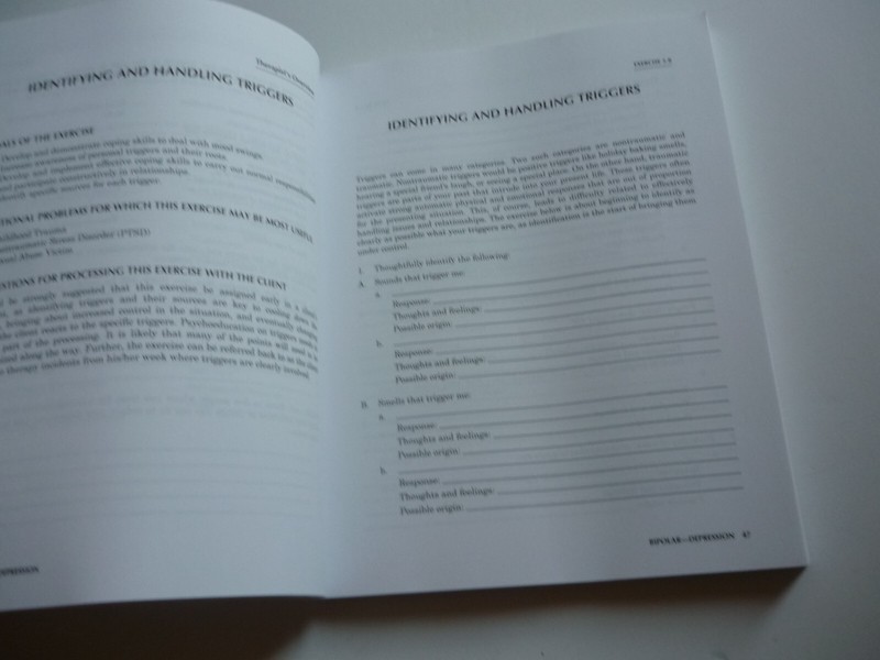 Adult Psychotherapy Homework Planner by David J Berghuis gallery