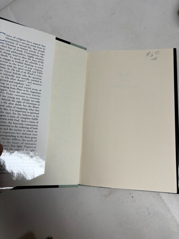The Life of the World to Come by Carol Zaleski 1996 Oxford University Press gallery