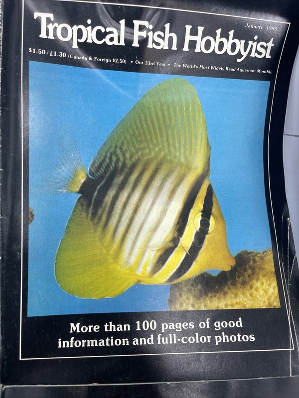 LOT OF 9 Assorted Tropical Fish Hobbyist Magazine Multiple Months & Years 83-86 gallery