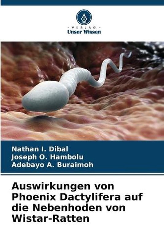 Auswirkungen von Phoenix Dactylifera auf die Nebenhoden von Wistar-Ratten by Nat