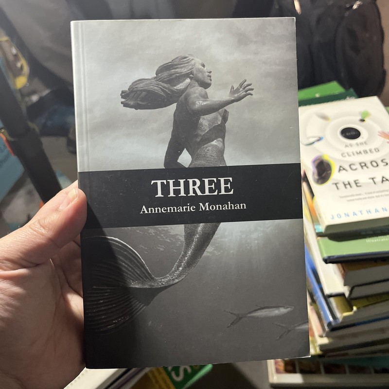 Three by Annemarie Monahan Fiction Trade Paperback LGBT Lesbian Audience
