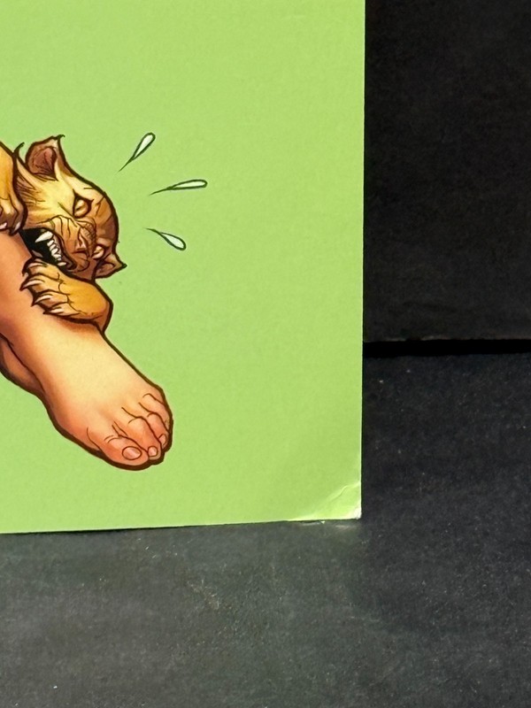The Art of Frank Cho 20 Year Retrospective Softcover Art Book Flesk Publications gallery
