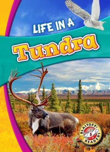 Life in a Tundra by Mandy Kaplan: New