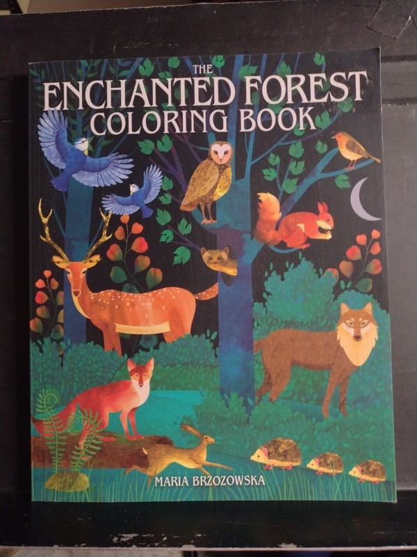 The Enchanted Forest Coloring Book Maria Brzozowska 2024 Very Good Plus!