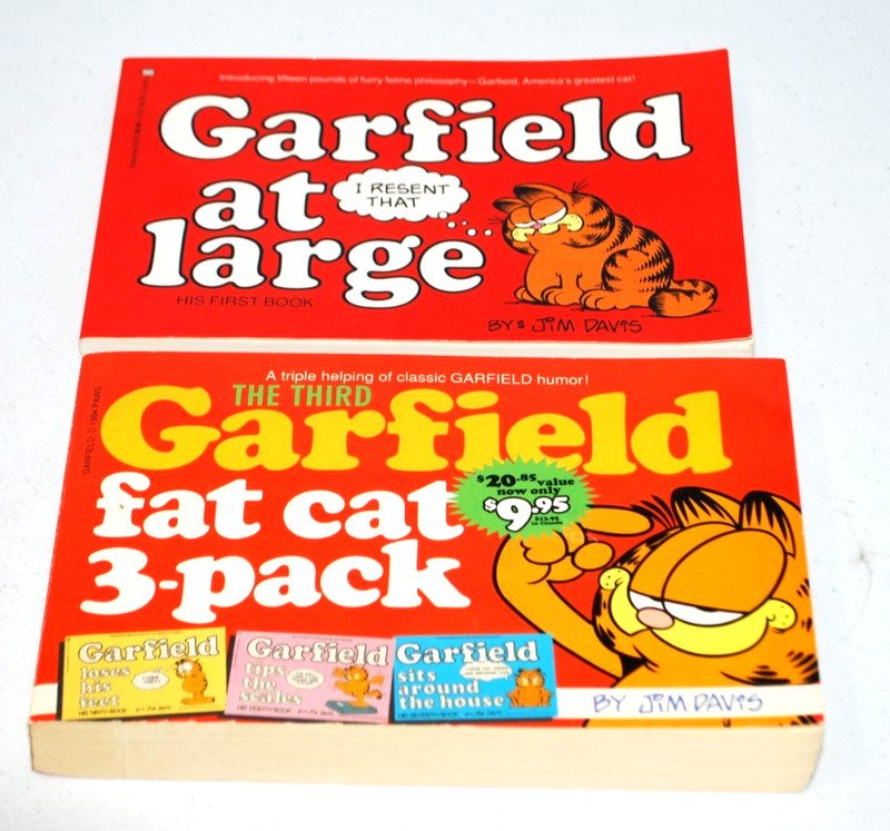 Vintage Garfield Lot of 2 Comic Book Style Paperbacks 1980 And 1983