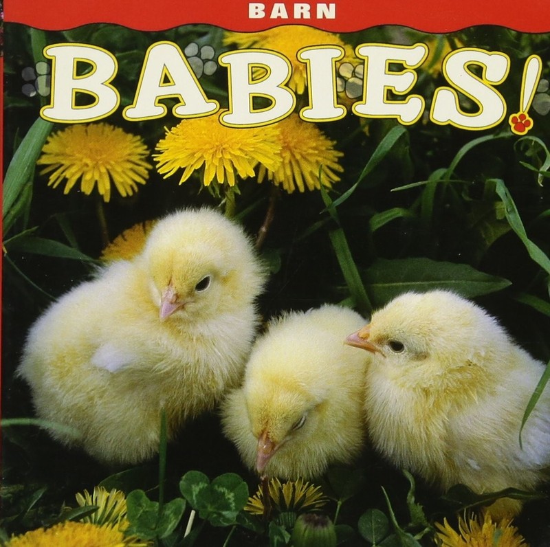 Barn Babies! (Babies! (Farcountry Press)) – Farcountry Press – Acceptable – …