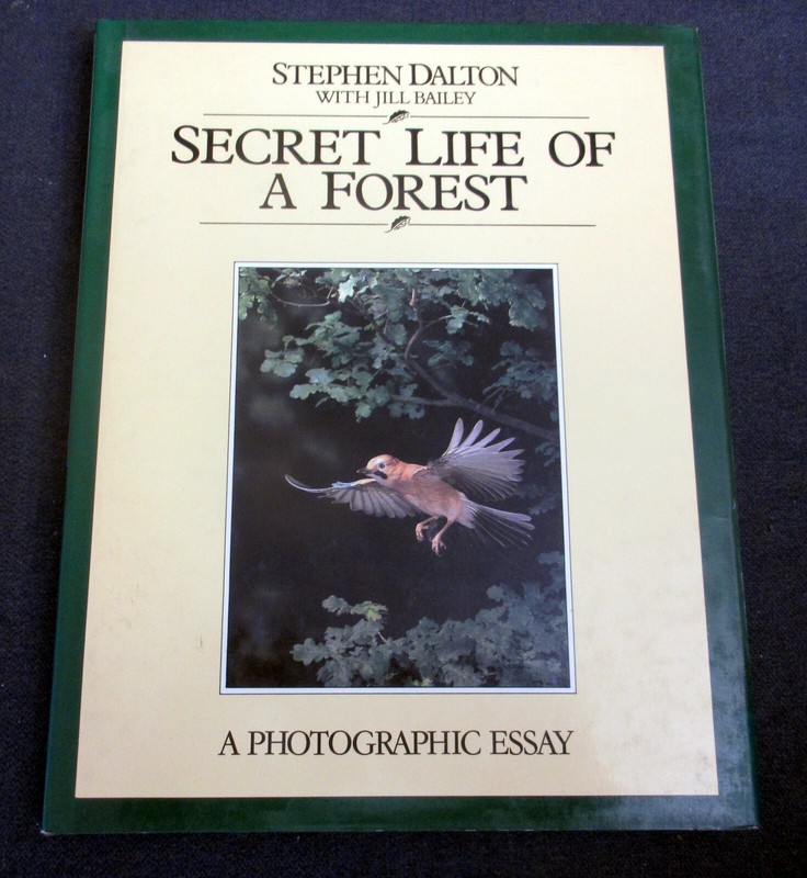Stephen Dalton with Jill Bailey «Secret Life of a Forest» hardcover with dj