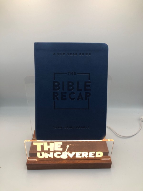 The Bible Recap: A One-Year Guide To Reading And Understanding The Entire B…