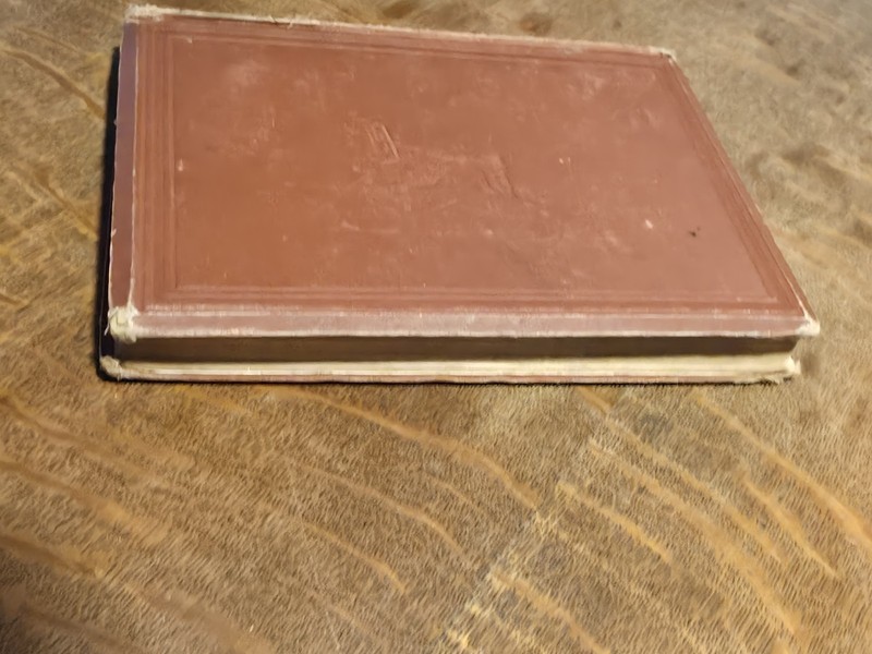 1881 Sunday Pictures and Pages E. P. Dutton Songs Stories 200+ Illustrations gallery
