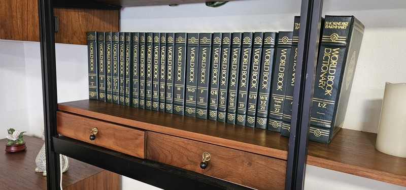 World Book Encyclopedia (22) & Dictionary (2) Set 1994 Hardcover gallery