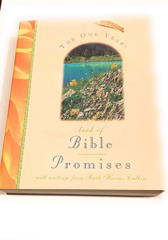The One Year Book of Bible Promises (Paperback) – Ruth Harms Calkin – Good -…