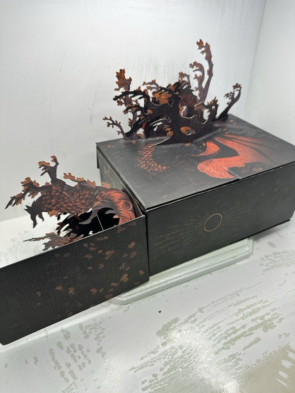 Litjoy King Of Scars Duology by Leigh Bardugo - Special Edition Box Set Sealed gallery