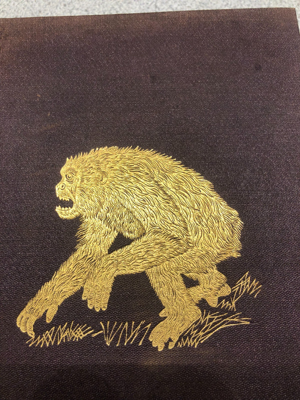 RARE: 1890 EQUATORIAL AFRICA AND COUNTRY OF THE DWARFS – Gorillas, Pygmies
