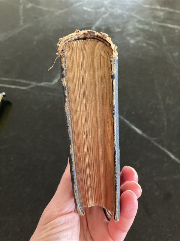 Age of Chivalry by Bullfinch, 1859 ed., Color Plates gallery