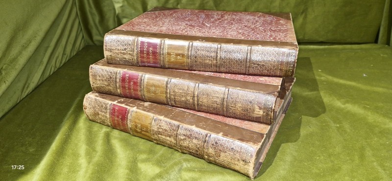 Picturesque Europe: Great Britain and the Continent 3 Volumes (First 1875-1879) gallery