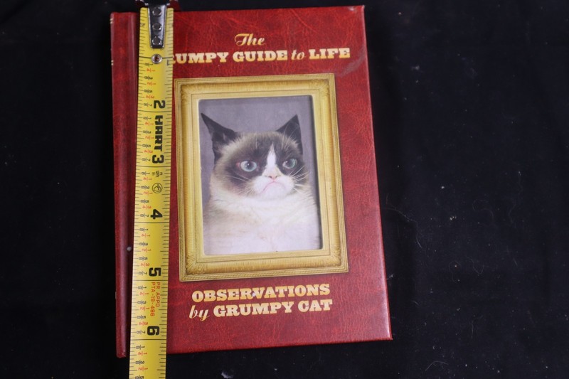 The Grumpy Guide to Life: Observations from Grumpy Cat - hardcover humor gallery