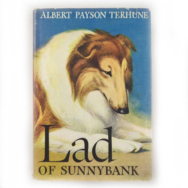 1955 Lad of Sunnybank by Albert Terhune HC 322 Pages