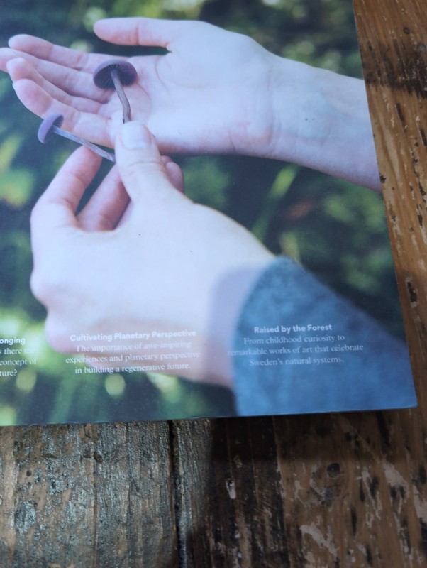 Another Escape Magazine Volume 13 Outdoor Lifestyle Creative Culture Sustainable gallery
