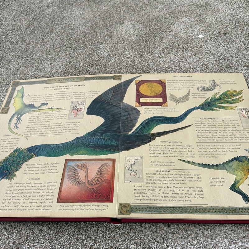 Ologies Ser.: Dragonology : The Complete Book of Dragons by Ernest Drake (2003, gallery