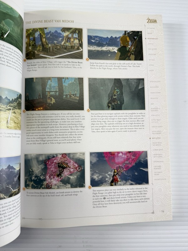 Zelda Breath of the Wild Complete Official Guide Piggyback 2017 gallery
