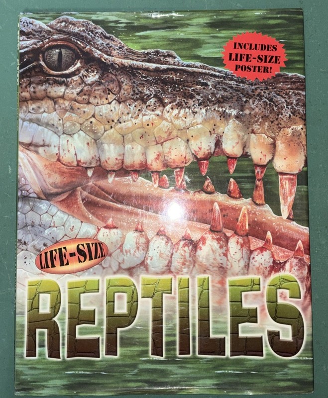 Life-Size Reptiles by Wilson, Hannah Very Good Condition Book For All Ages 4-17