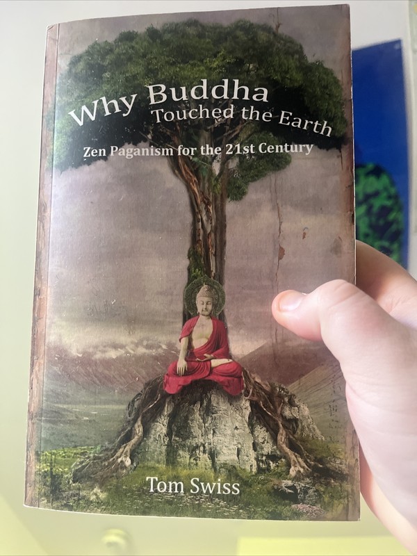 Why Buddha Touched the Earth by Tom Swiss (2013, Trade Paperback)