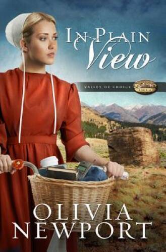 IN PLAIN VIEW (Valley of Choice) – Paperback By Newport, Olivia – GOOD