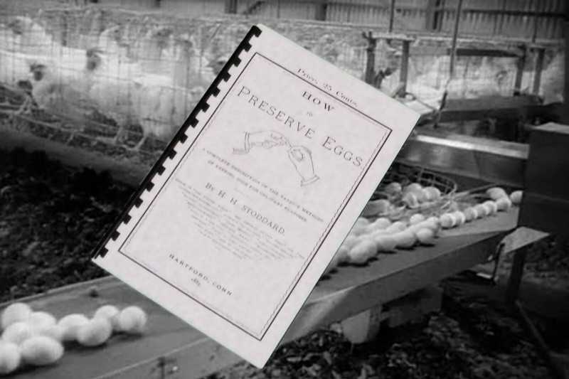 How To Preserve Eggs 1885 (48 Pages)