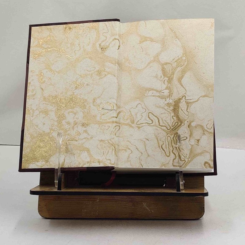 Vitalogy or Encyclopedia of health and home Adapted for home a [Leather Crafted] gallery