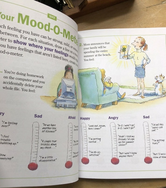 The Feelings Book : The Care and Keeping of Your Emotions by Lynda Madison... gallery
