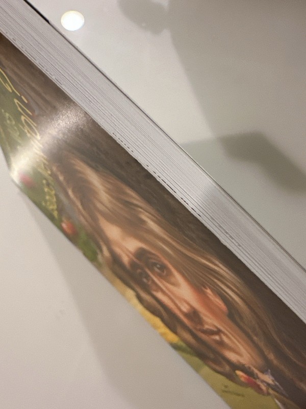 Who Was Isaac Newton? By Who HQ and Janet B. Pascal (2014, Trade Paperback) gallery