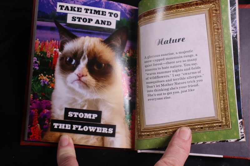 The Grumpy Guide to Life: Observations from Grumpy Cat - hardcover humor gallery