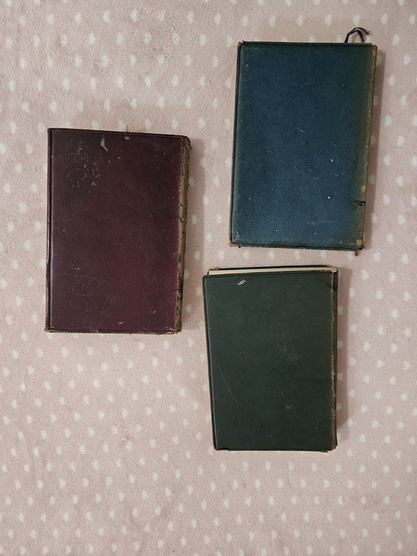 Thomas Nelson & Sons 1919 Leather Illustrated Barnaby Rudge, Ivanhoe, Felix Holt
